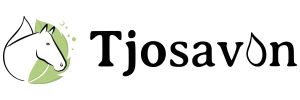 TjoSavon