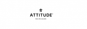 Attitude