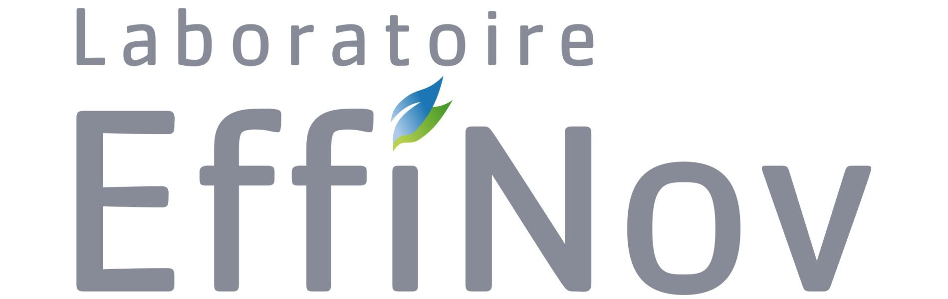 Laboratoire Effinov