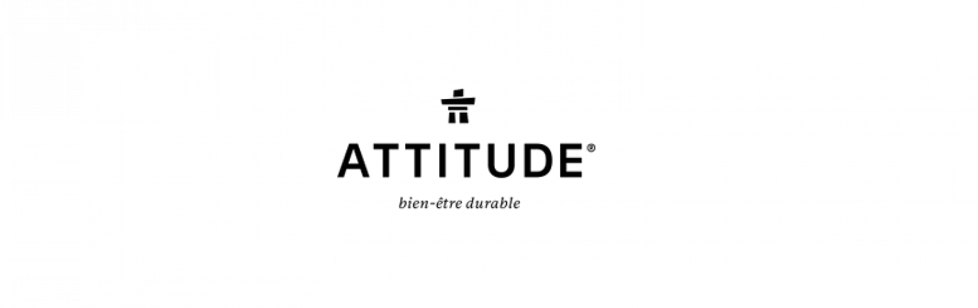 Attitude