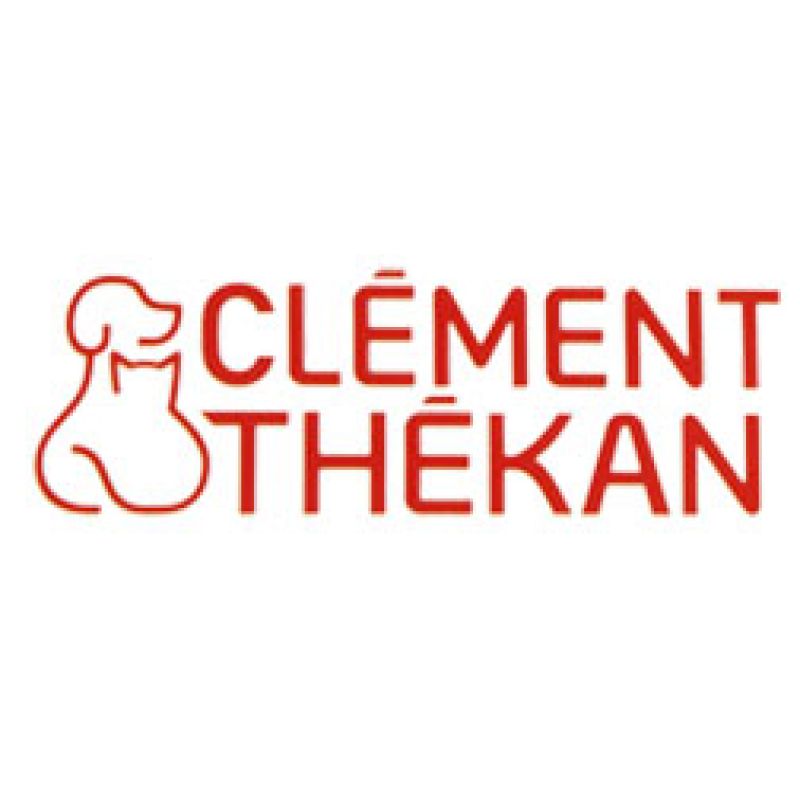 -2€ sur Clement Thekan.