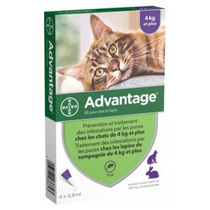 Bayer - Advantage chat et lapin de 4kg et plus - 4 pipettes