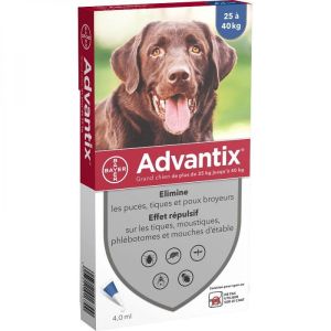 Bayer - Advantix grand chien de 25 à 40 kg - 4 pipettes