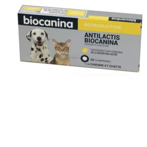 Biocanina - Antilactis