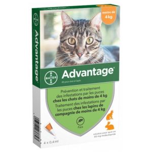 Advantage chat et lapin de moins de 4kg - 4 pipettes