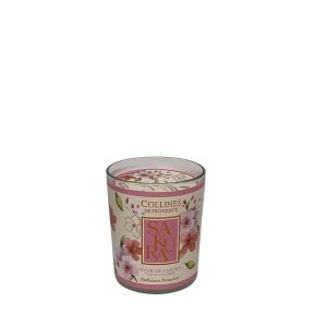 Collines de provence - Bougie fleur de sakura - 180g
