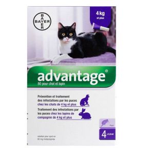 Bayer - Advantage chat et lapin de 4kg et plus - 4 pipettes