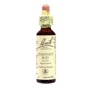 Fleurs de Bach Original - Chestnut bud Bourgeon de marronnier - 20ml