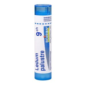 Boiron - Ledum palustre - tube granules