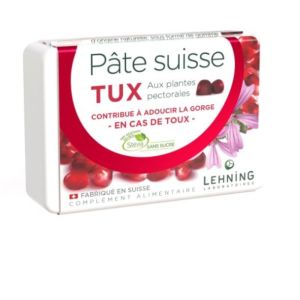 Lehning - Pâte Suisse Tux - 40 gommes