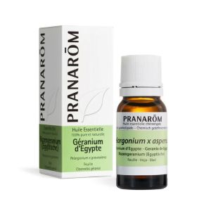 Pranarom - Huile essentielle Géranium d'Egypte - 10ml