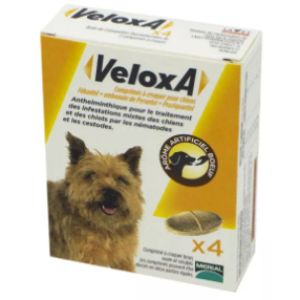 Veloxa - Comprimé vermifuge chien - 4 comprimés