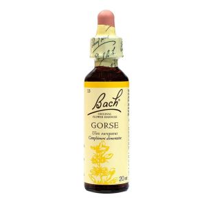 Fleurs de Bach Original - Gorse Ajonc - 20ml
