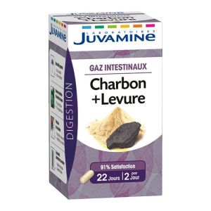 Juvamine - Charbon + levure - 45 gélules