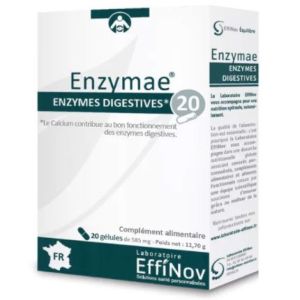 Laboratoire Effinov - Enzymae enzymes digestives - 20 gélules
