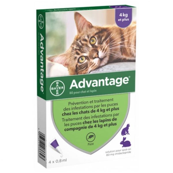 Bayer - Advantage chat et lapin de 4kg et plus - 4 pipettes