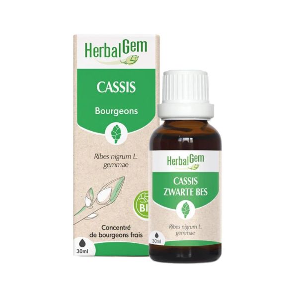 HerbalGem - Cassis Bio - 30ml
