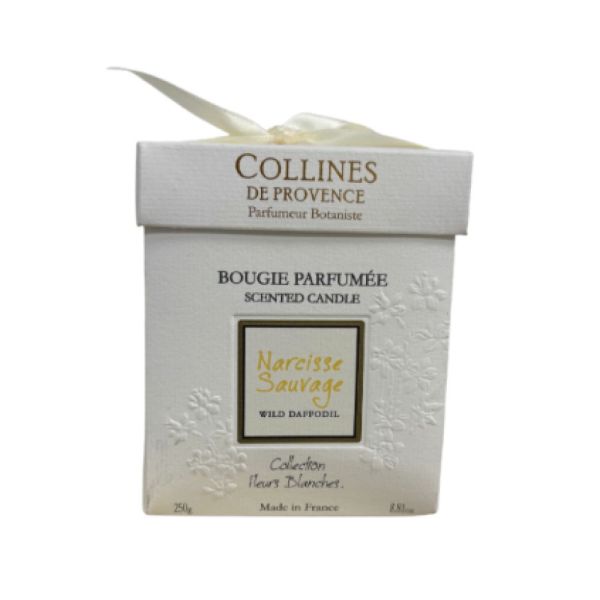 Collines de Provence - Bougie Parfumée Narcisse Sauvage - 250 g