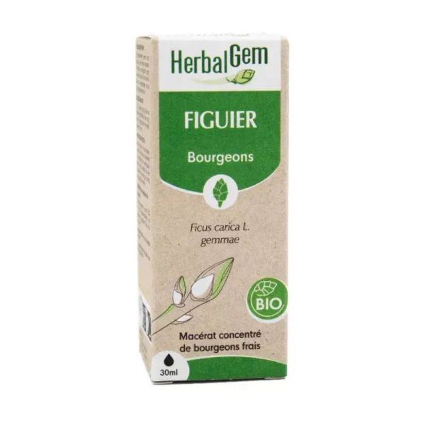 HerbalGem - Figuier Bio - 30ml