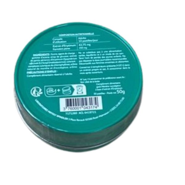 Mayoly - Euphon Euphoneo pastilles menthe-eucalyptus - 50g