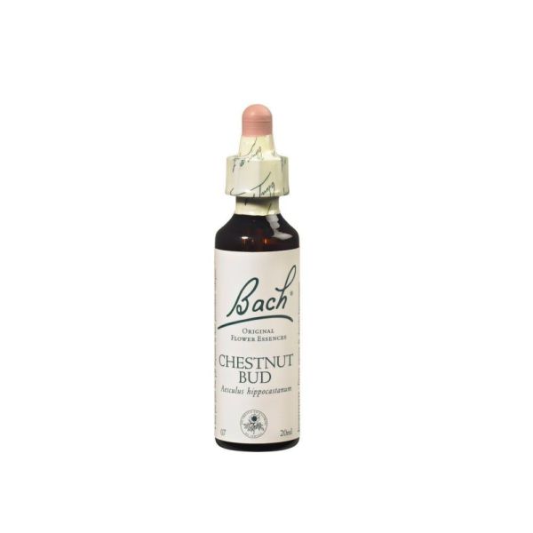 Fleurs de Bach Original - Chestnut bud Bourgeon de marronnier - 20ml