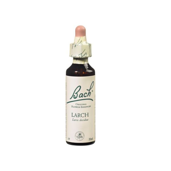 Fleurs de Bach Original - Larch Mélèze - 20ml