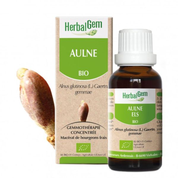 Herbalgem - Aulne Bio - Flacon de 30mL