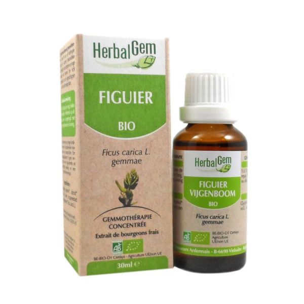 HerbalGem - Figuier Bio - 30ml