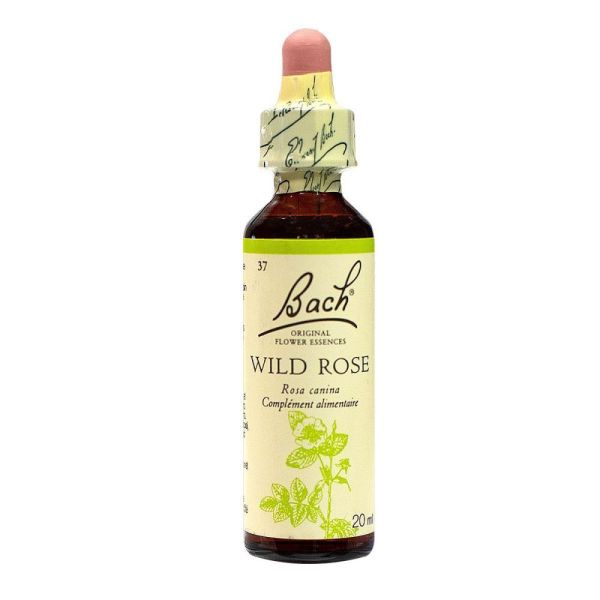 Fleurs de Bach Original - Wild rose Eglantine - 20ml