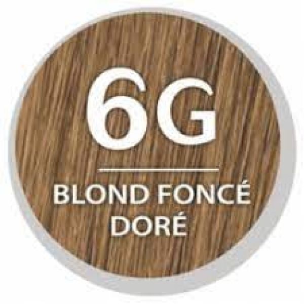 Color & Soin - Coloration Permanente - 6G Blond foncé doré