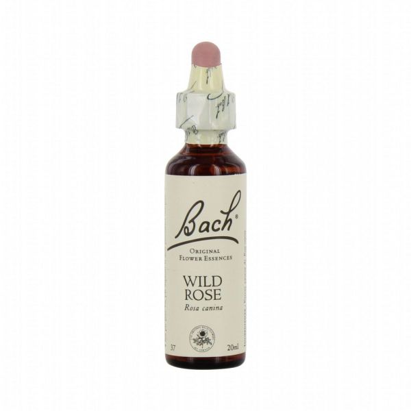 Fleurs de Bach Original - Wild rose Eglantine - 20ml