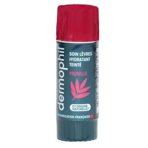 Dermophil Indien - Stick lèvre hydratant teinté - 4g
