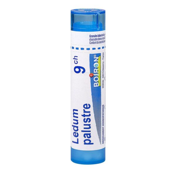 Boiron - Ledum palustre - tube granules